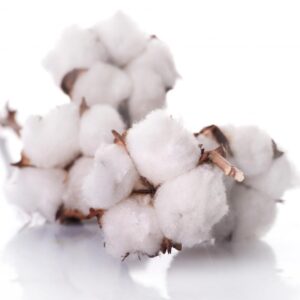 Віддушка “КВІТИ БАВОВНИ” (Франція)